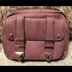 Cato Purple Purse With Silver Accents